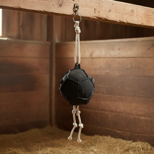 Horse hay ball natural grazing - hay,