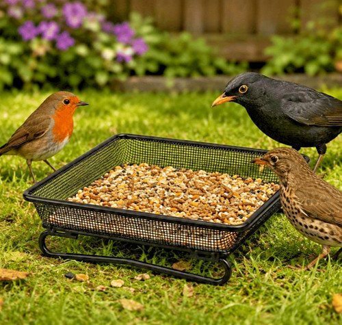 Square ground bird - x, feeder