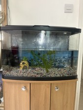 Fish Tank Aquarium