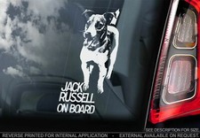 Jack Russel Terrier Car