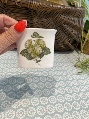 Vintage royal worcester hop - worcester,