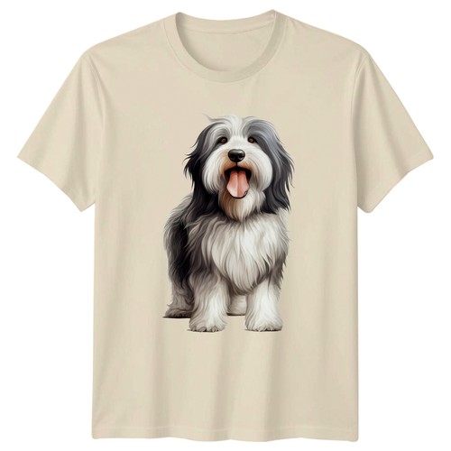 Bearded collie dog animals - bearded,