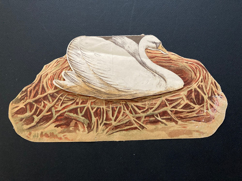 Antique swan white floating - swan,
