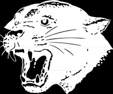 Panther #7 Mascot 1 Color