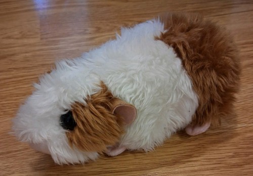 New guinea pig hamster inch - new, 8