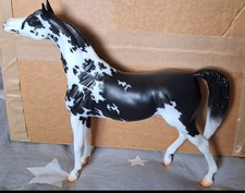 Breyerfest 2023 araba - breyerfest, special