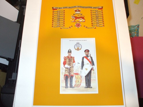 The royal hampshire regiment - hampshire,