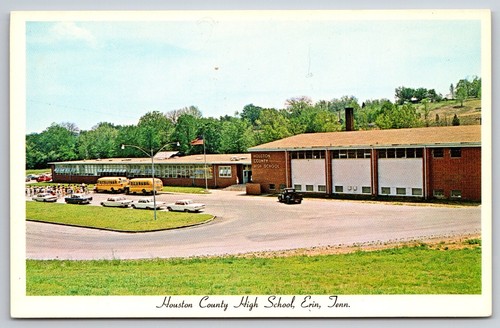 1960s houston county high - county,