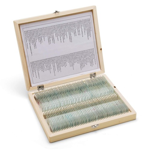 Swift microscope 100 - 100, slides