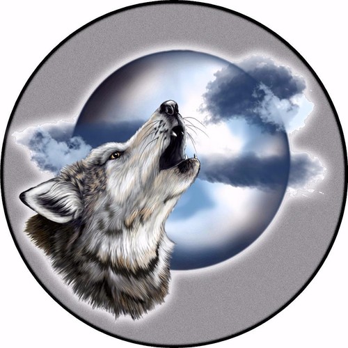 Spare wheel cover sticker - wheel,