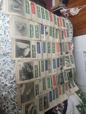 Cage Birds And Bird Fancy Magazines Pre 1955