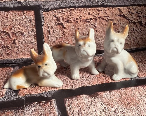 Vintage french bulldog - 3,