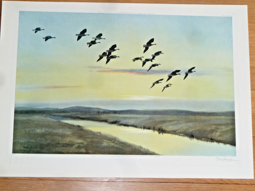 Sir peter scott pencil - sir, signed