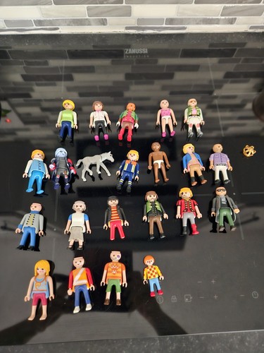 Huge job lot playmobil - job,