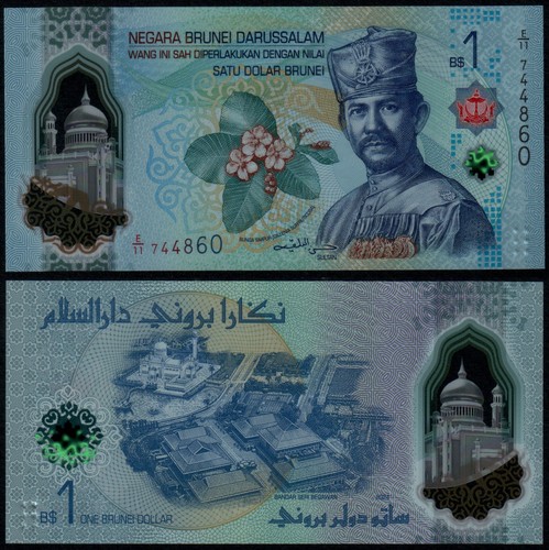 Brunei dollar 2024 - brunei,