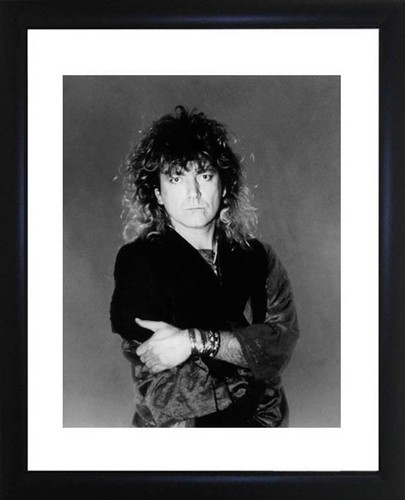 Robert plant - robert, (led