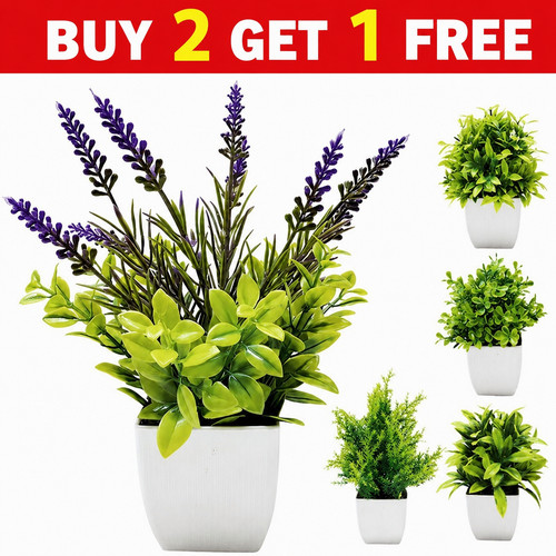 Artificial faux plants - plants, in
