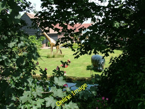 Photo 6x4 unusual - 6x4,