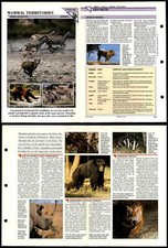 Mammal Territories #44