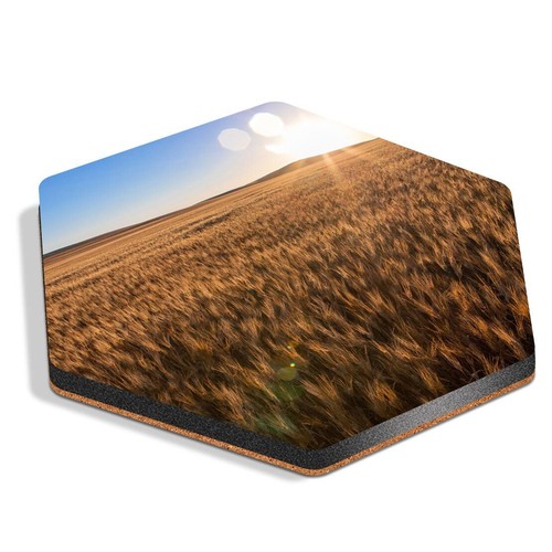 Hexagon mdf coaster - hexagon,
