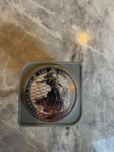 2026 oz silver - 25,