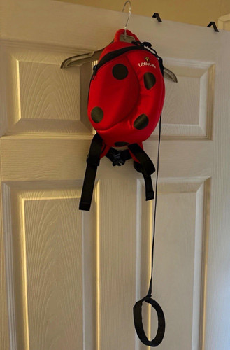 Littlelife ladybird safety - littlelife,