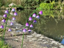 Hand Crafted Flowers - Pink