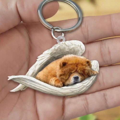 Cute funny sleeping - funny,