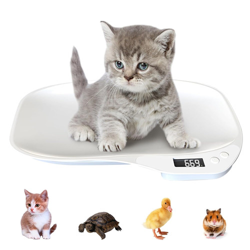 Pet scales for small animals - small,