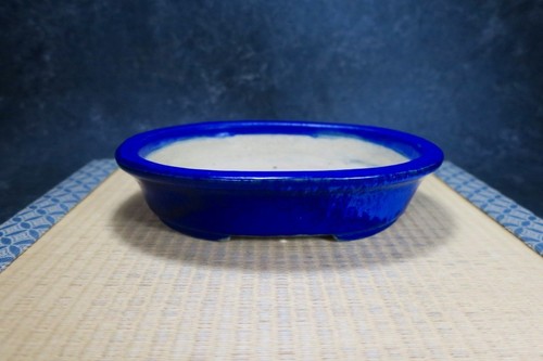 Genuine japanese bonsai pot - genuine,
