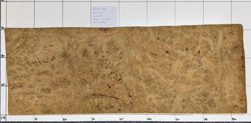 Burr oak real wood veneer - burr,