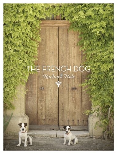 The french dog - dog,, hale,