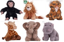 Animals Earth World Planet