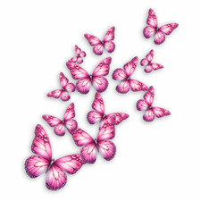 Persian Pink Butterfly Vinyl Sticker Decal│x12 Wall Tile Phone Laptop Graphic