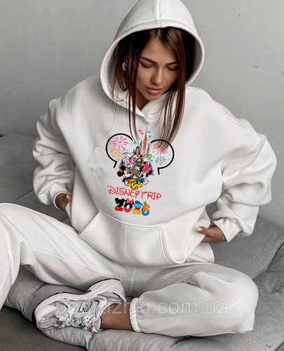 Disney trip 2026 hoodie - trip,
