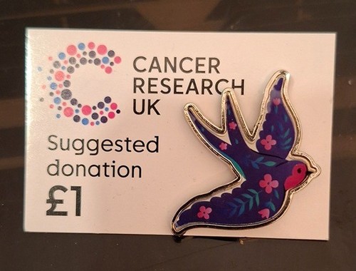 Charity pin badge muilti - charity,