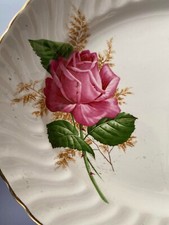 ROSE FLORAL Vintage Swinnertons Ironstone Dinner Platter Large Floral Design.