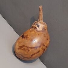 Decorative Gourd Natural Colours Home Decor 