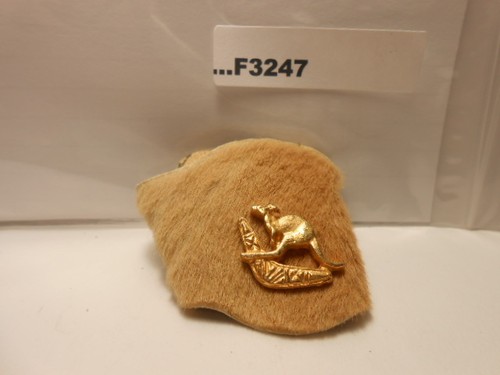 Kangaroo pin skin - on,