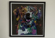 BLACK FRIDAY OFFER DOG