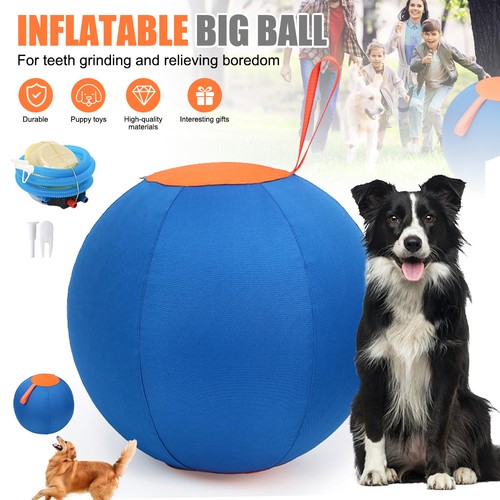 Herding ball for - for, dogs