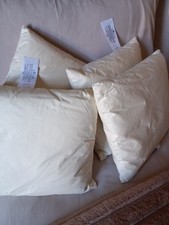 4 X 12 Inch Feather Filled Cushion Pads