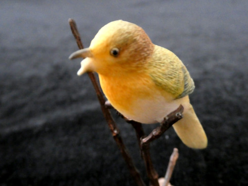 Border fine arts - border, yellowhammer