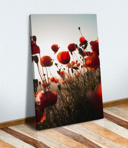 Canvas wall art print artwork - canvas,