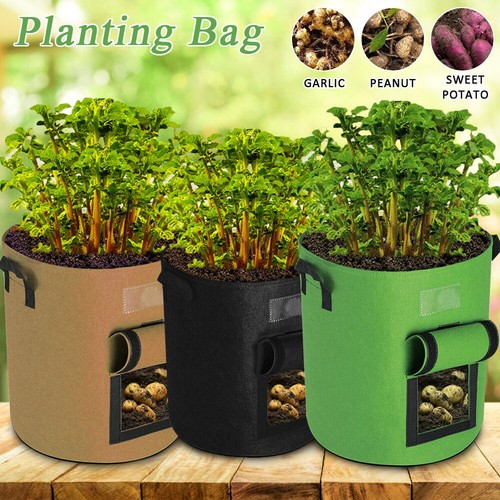 Gallon plant grow bags - plant,