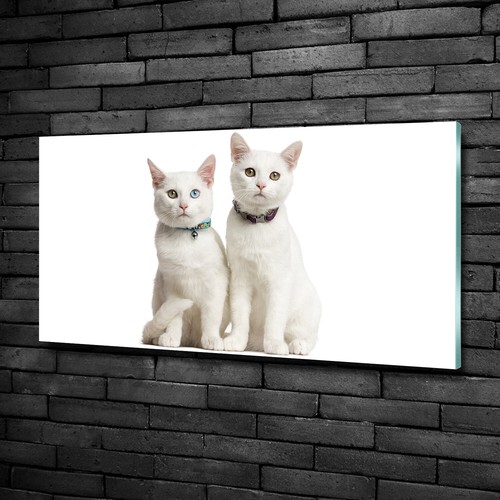 Tulup glass print wall - print, art