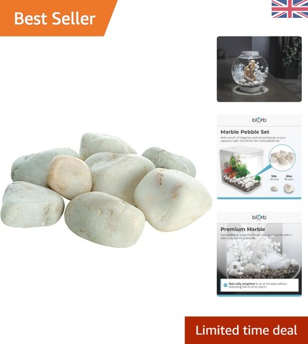 Transform your aquarium with - aquarium,
