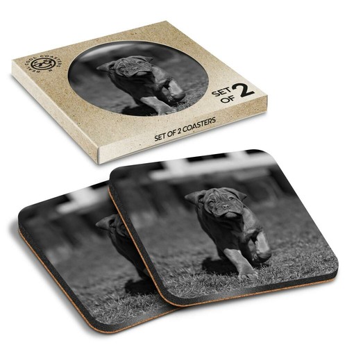 Boxed square coasters bw - boxed,