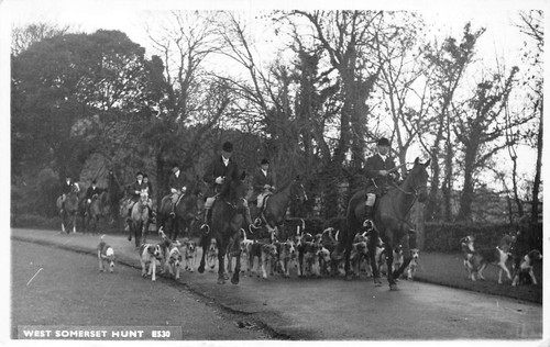 Postcard somerset horner - postcard,