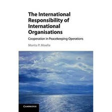 International responsibility - international,